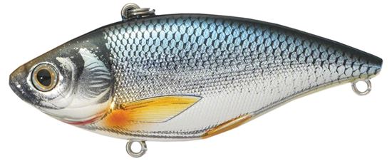 Picture of LiveTarget Golden Shiner