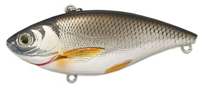 Picture of LiveTarget Golden Shiner