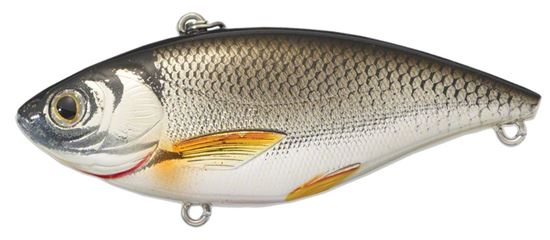 Picture of LiveTarget Golden Shiner