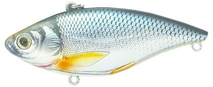 Picture of LiveTarget Golden Shiner