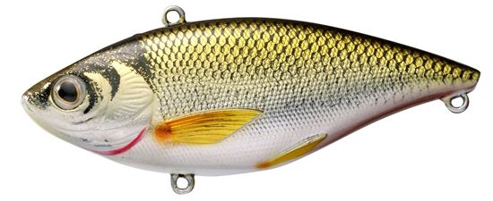 Picture of LiveTarget Golden Shiner