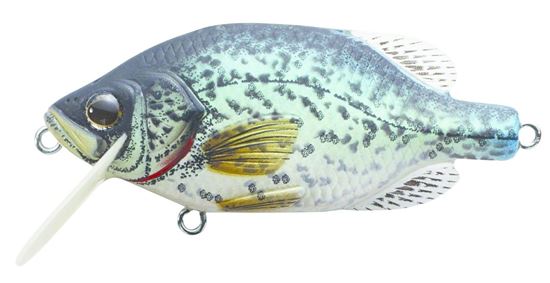 Picture of LiveTarget Crappie Crankbait