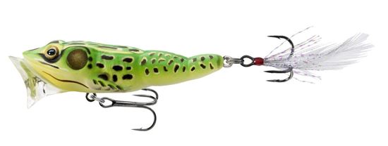 Picture of LiveTarget Frog Popper