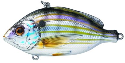 Picture of LiveTarget Pinfish Lipless Rattlebait