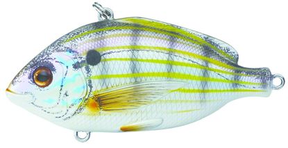 Picture of LiveTarget Pinfish Lipless Rattlebait