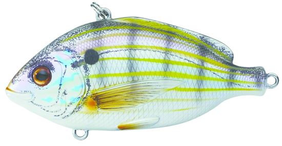 Picture of LiveTarget Pinfish Lipless Rattlebait