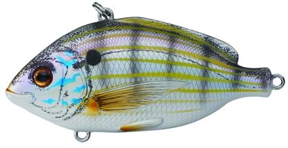 Picture of LiveTarget Pinfish Lipless Rattlebait