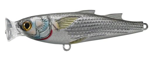 Picture of LiveTarget Mullet Topwater Popper