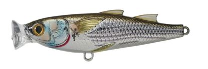 Picture of LiveTarget Mullet Topwater Popper