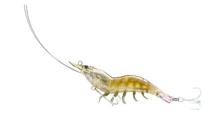 Picture of LiveTarget Hybrid Shrimp Pre-Rigged Jig