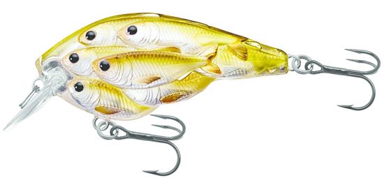 Picture of LiveTarget BaitBall Yearling Crankbait