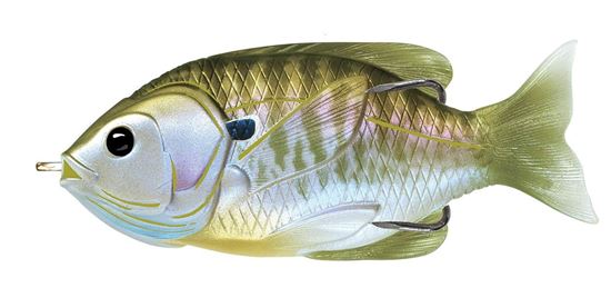 Picture of LiveTarget Sunfish Hollow Body