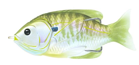 Picture of LiveTarget Sunfish Hollow Body