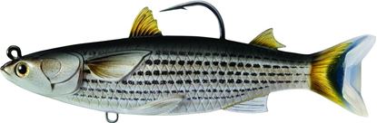 Picture of LiveTarget Mullet Swimbait