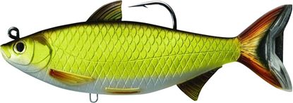 Picture of LiveTarget Golden Shiner Swimbait