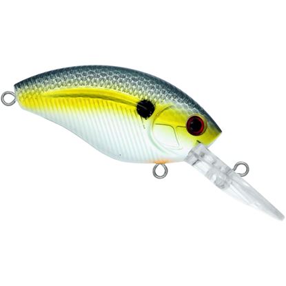 Picture of Livingston Lures 0903 Team
