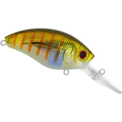Picture of Livingston Lures 0935 Team