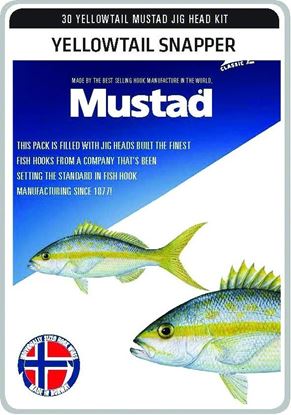 Picture of Mustad Jig Head Kits