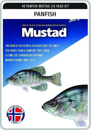 Picture of Mustad Jig Head Kits