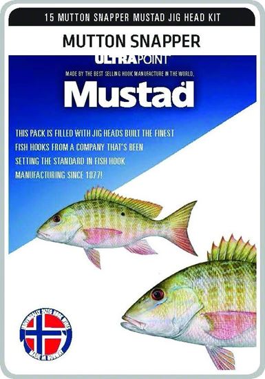 Picture of Mustad Jig Head Kits