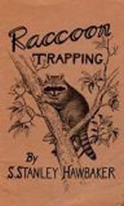 Picture of Raccoon Trapping
