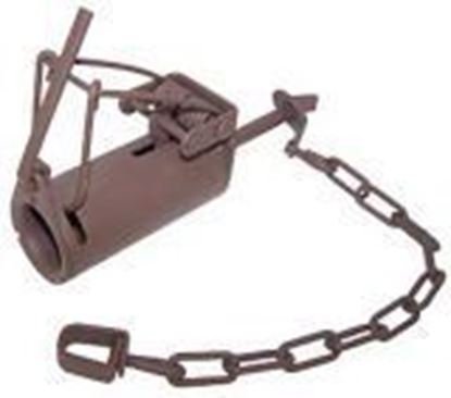 Picture of DP Coon Traps