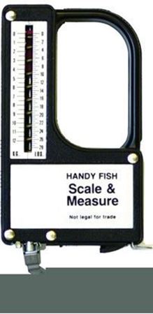Picture for category Scales & Measurers