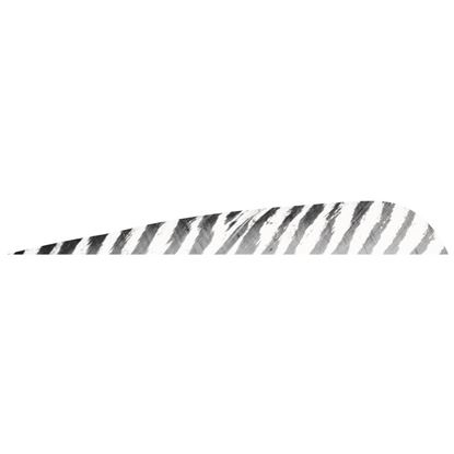 Picture of Gateway Barred Feathers
