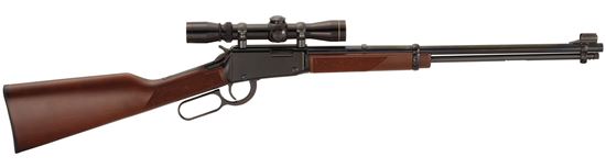 Picture of Henry 22 Mag Lever Action Rifle