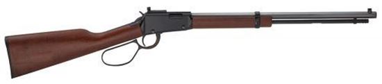 Picture of Henry Small Game Game 22LR 20" BL WD 16+1