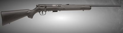 Picture of Savage Arms Mark II-F BOLT 22LR BL Synthetic 10+1