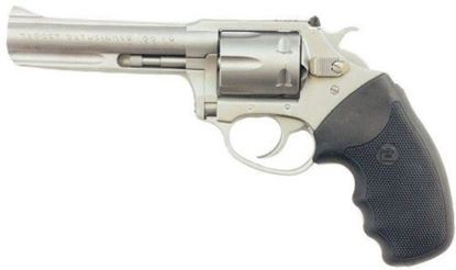 Picture of Charter Arms 72242 Pathfinder 22LR SS