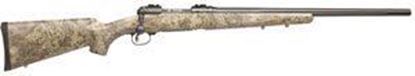 Picture of Savage Arms 10 Predator Hunter 22-250