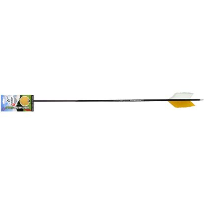 Picture of Carbon Express Archery Golf Arrow