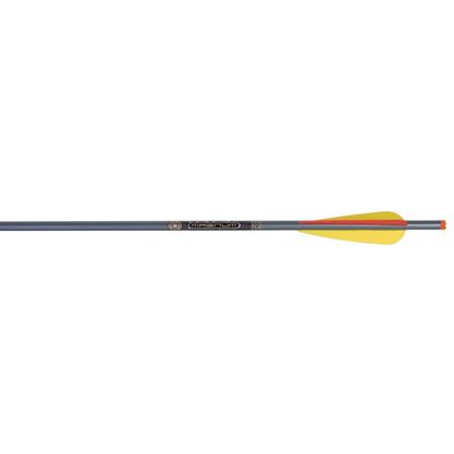 Picture of TenPoint XX75 Magnum Arrows