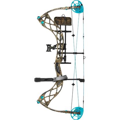 Picture of Diamond Carbon Knockout Bow Package