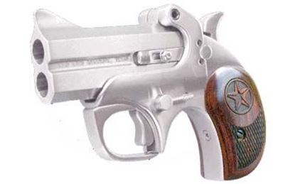 Picture of BND TEXAS DEFENDER 22WMR