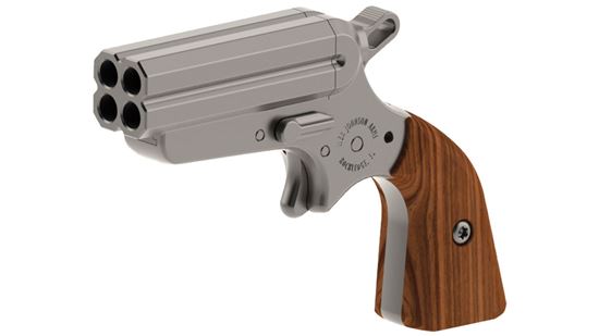 Picture of IVJ  POCKET ACE 22LR 2" 4RD