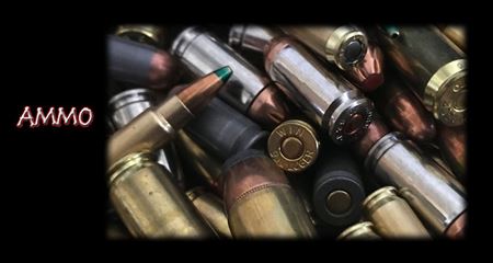 Picture for category Ammo