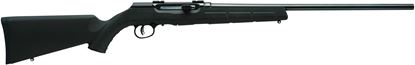Picture of Savage Arms 47010-FG A17 Semi-Auto Rifle