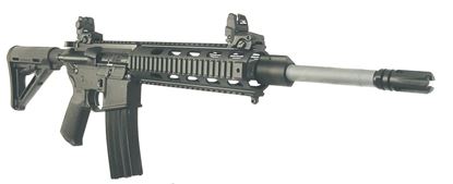 Picture of DPMS Recon