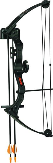 Picture of Bear Archery AYS300BR Brave Black w/Biscuit Youth Bow