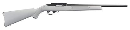 Picture of Ruger 10/22 Autoloading Rimfire