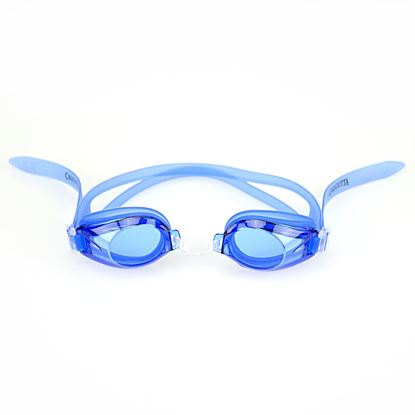Picture of Swim Goggle