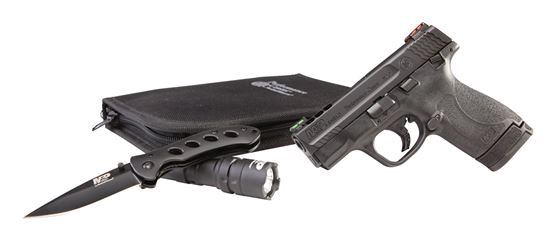 Picture of Smith & Wesson M&P® Shield M2.0 Pistol