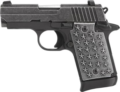 Picture of Sig Sauer P938 We the People Micro-Compact