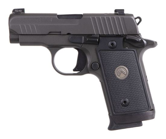 Picture of Sig Sauer P238