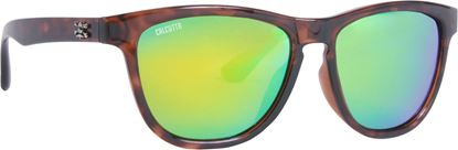 Picture of Calcutta Cayman Sunglasses