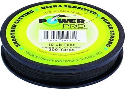 Picture of Power Pro 21100100300E Spectra Braided Fishing Line 10lb 300yd Green