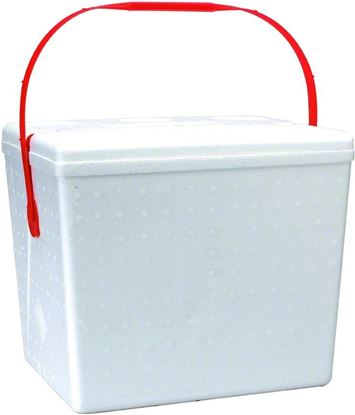 Picture of Lifoam 3622 Ice Chest 22Qt w/Handle